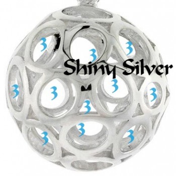 Shiny Silver 3 Video